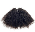Raw Brazilian Kinky Curly Tape-In Extensions